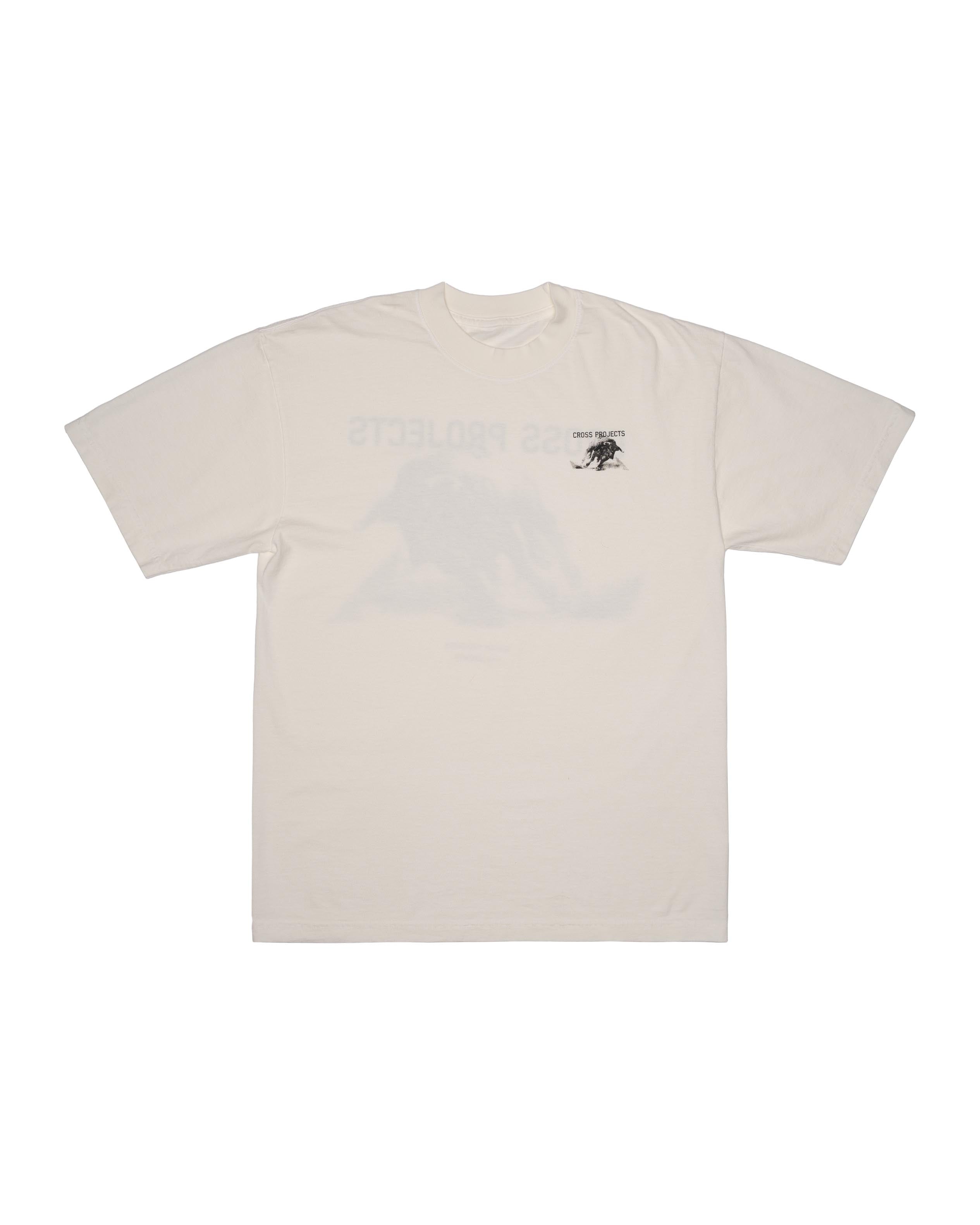 RAGING BULL T